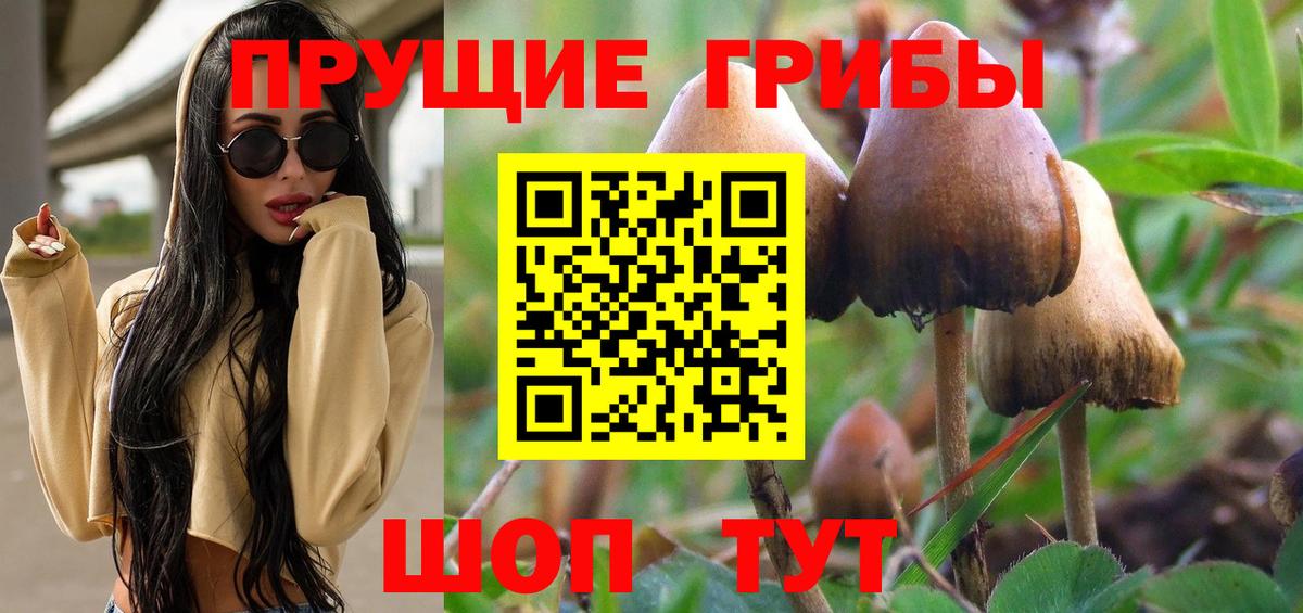 Псилоцибиновые грибы Magic Shrooms  Галлюциногенные грибы Cubensis  Кировск  Вход с VPN 
