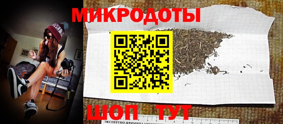 Галлюциногенные грибы Psilocybine cubensis Кировск